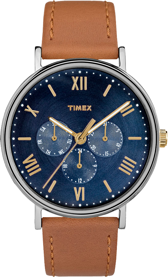 Мужские часы Timex Timex TW2R29100RY