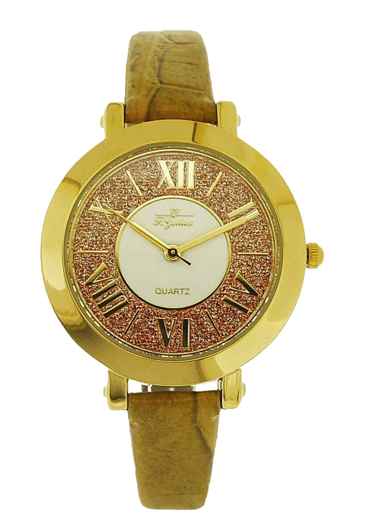 Женские часы F.Gattien F.Gattien 150202-111кор