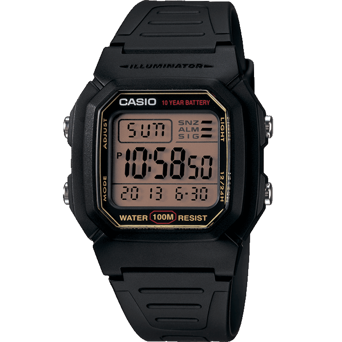Мужские часы CASIO Collection W-800HG-9A
